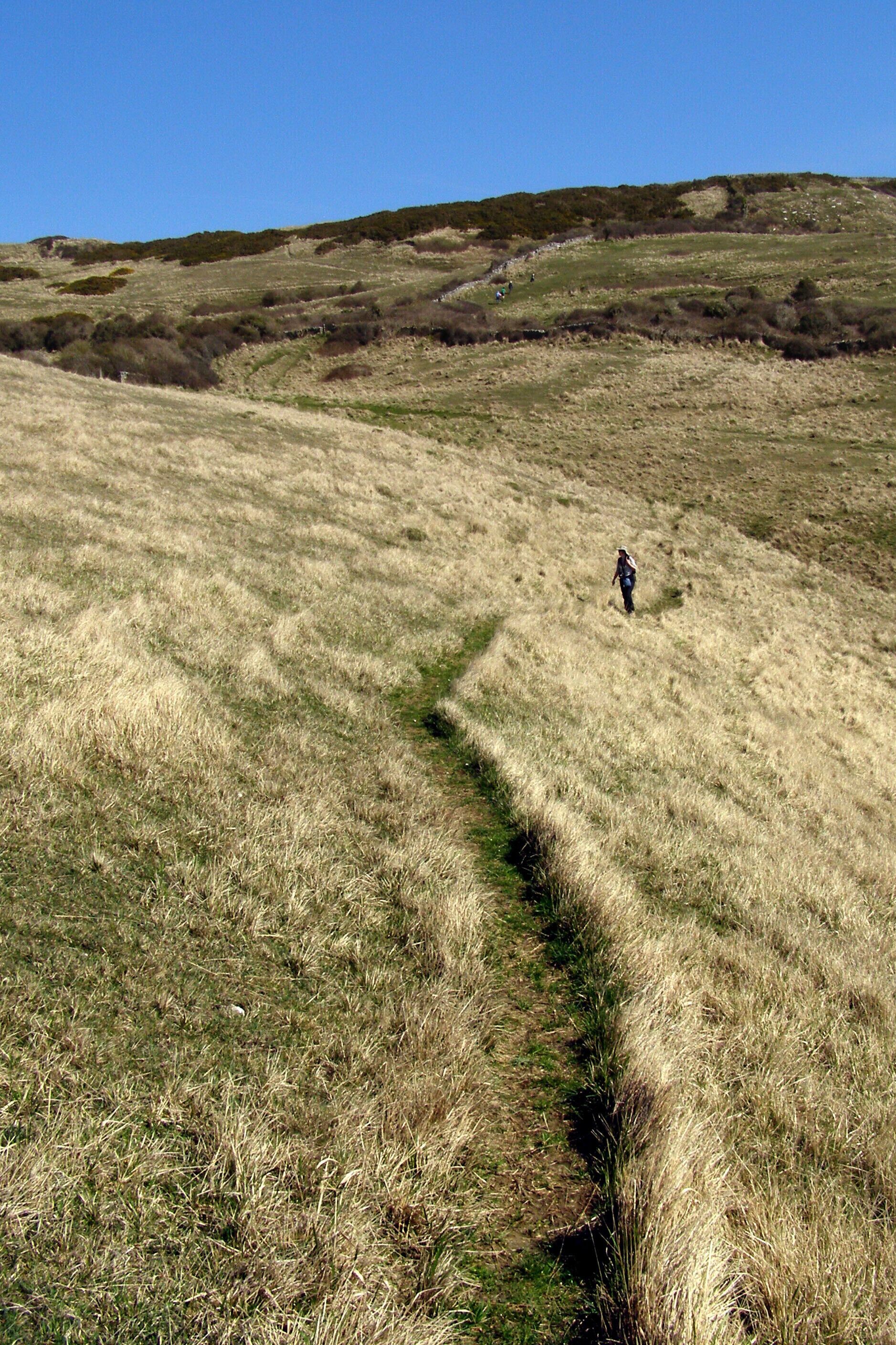 Ascent to the Upper Path from Dancing Ledge The coast path between Dancing Ledge and Durlston Head follows the cliff-top (above the vertical cliffs of Portland Stone). Above this is a steep coastal slope on the Purbeck formations and at the top is the "Upper Path" to Durlston along the seaward edge of fields. The gully leading off to the right ends at Whiteware Quarry.