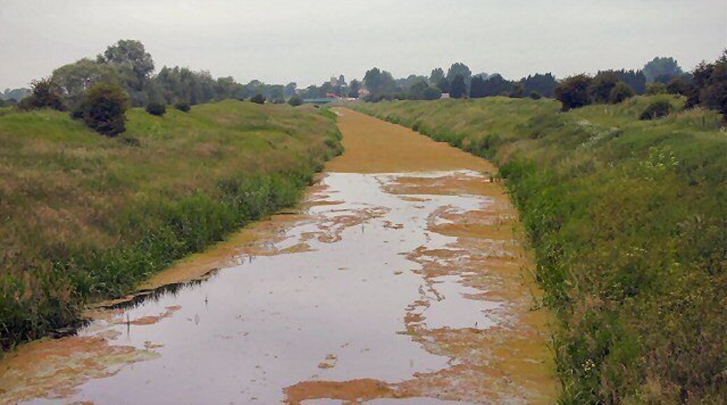 Cut-Off Channel Viewed from Smeeth Drove bridge, this artificial drainage ditch is almost stagnant, as can be seen from the amount of weed.