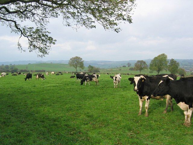 Countryside between Kniveton and Bradbourne