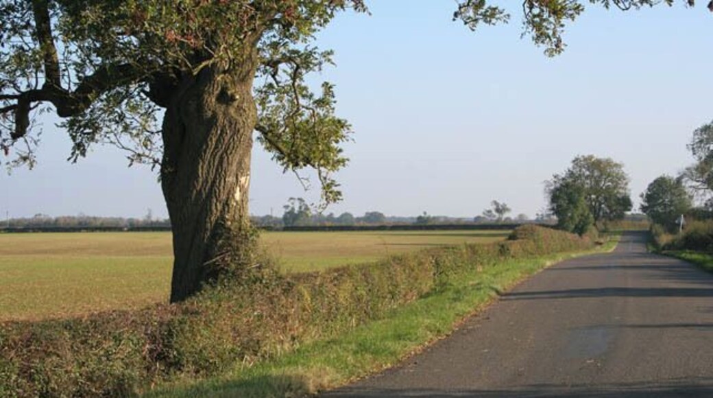 Croxton Road Between Croxton and Saltby. This shows the high plateau around Salty be that meant it was the ideal home for a World War II airfield. See SK8636