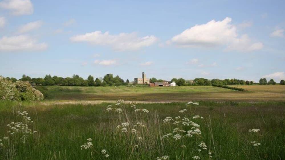Un paysage rural avec un champ, des fleurs blanches, un bâtiment situé au loin et des arbres sous un ciel bleu.