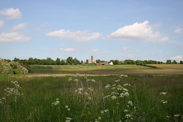 A rural landscape with a field, white flowers, a distant building, and trees under a blue sky.