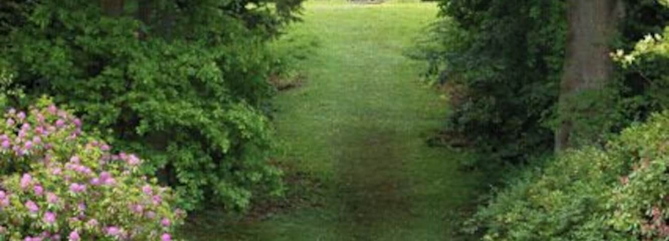 Looking north to the 'pagoda walk', Wallington Wallington is a National Trust property and is open to the public. The house itself, noted for its fine interiors, is set in gardens and parkland straddling the B6342 road. There is a walled garden at the east end of the estate, a formal garden by the house, and extensive naturalistic gardens in the style of Capability Brown. There are also several small lakes on the estate.