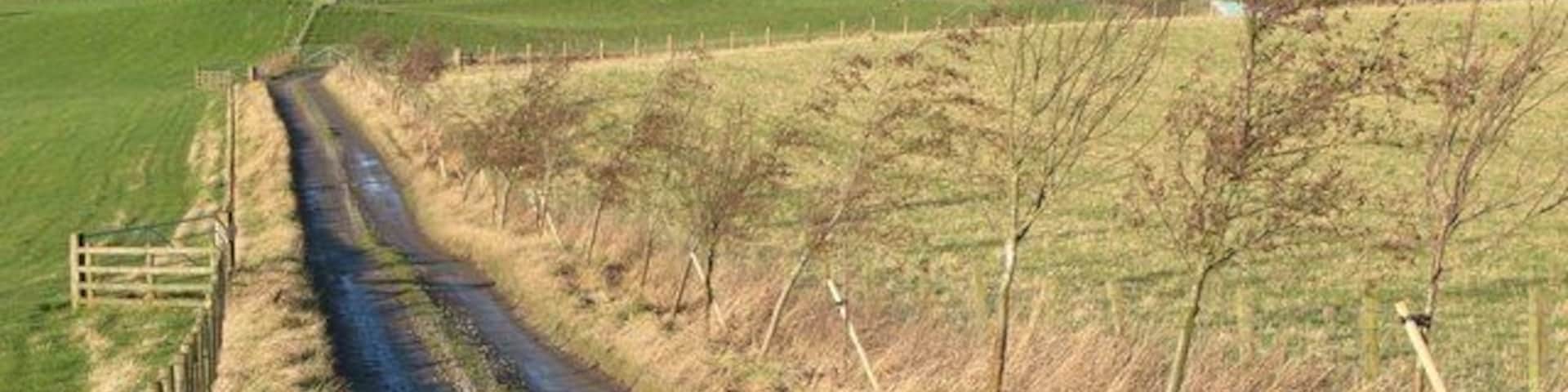 The track to, and farmland near, Ladywell