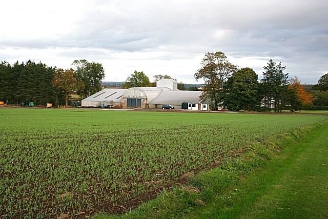 Upper Darley The barns are used for overwintering cattle, and judging by the amount of bellowing they were not happy at being brought in from the open fields. However they will soon settle down and get used to indoor life, even if they are unable to appreciate the benefits of shelter from the storms to come.