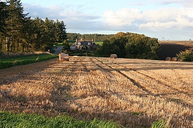 Nether Darley Late sunshine casts dappled shade on the farm house at Nether Darley, viewed from the public road.