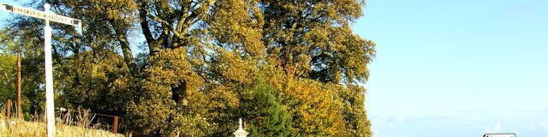 Kirriemui / Brechin / Edzell junction War Memorial is visible. The area to the left is known as Tigerton.