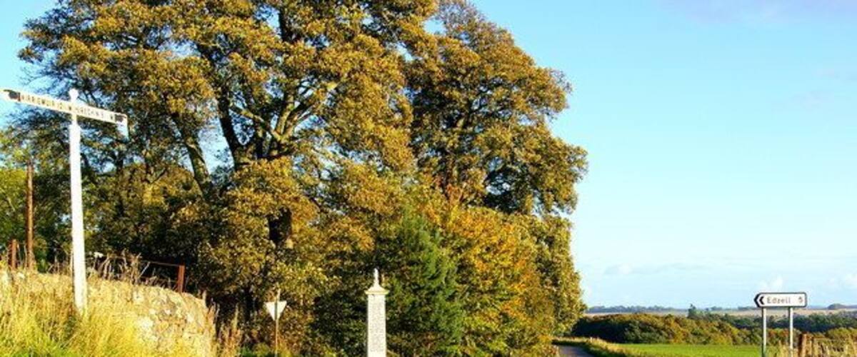 A rural road with a white signpost, a stone wall, and a large tree.