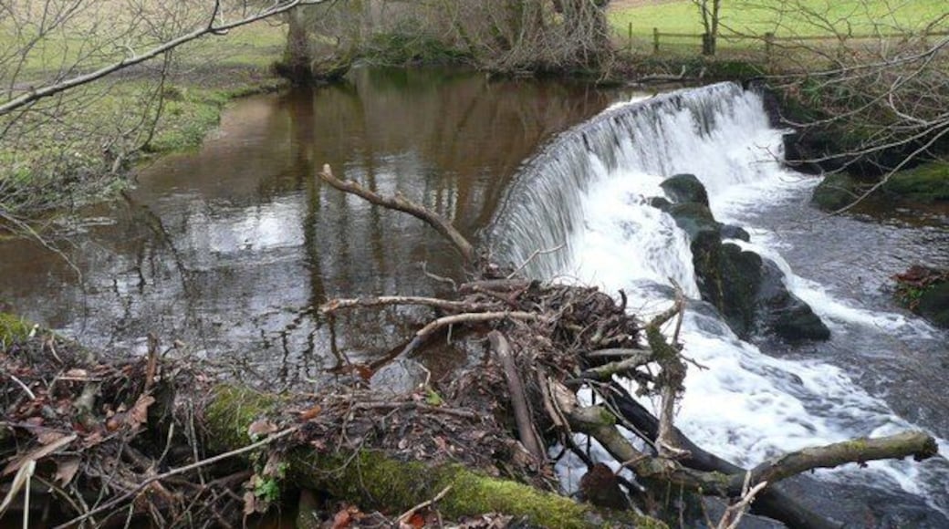 Weir on Raven Beck, Kirkoswald The water diverted at this weir was channelled to both the woollen mill and the corn mill.