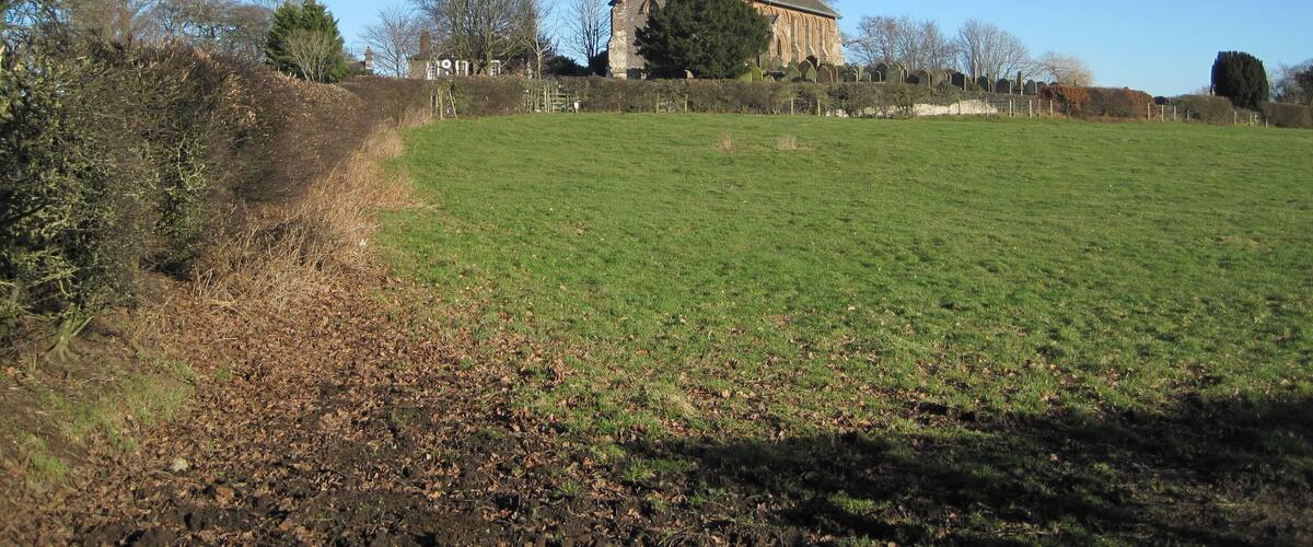 A church with a tall tower surrounded by a grassy field and trees.