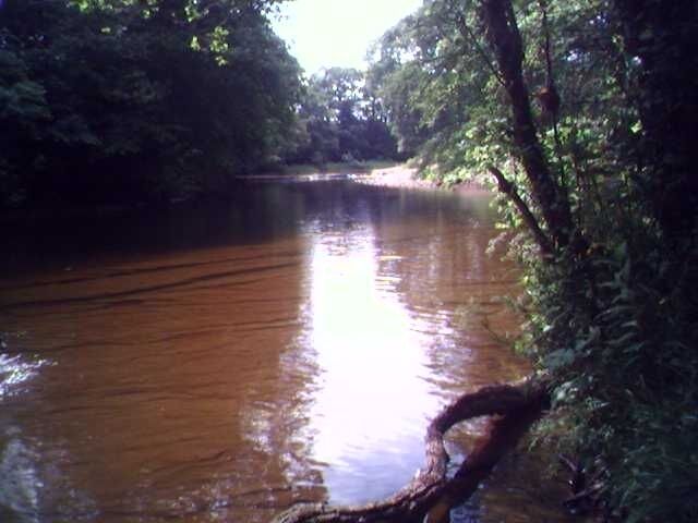 River Lyne near Kirklinton This area is called "The captains table" locally