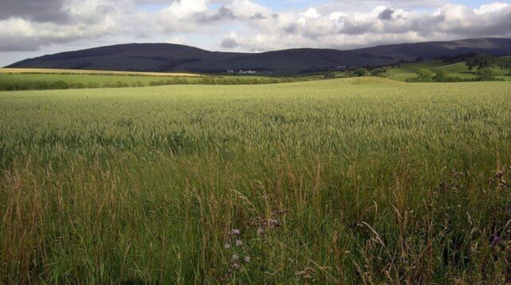 Towards Lotus Looking across the fields towards Lotus Hill.
