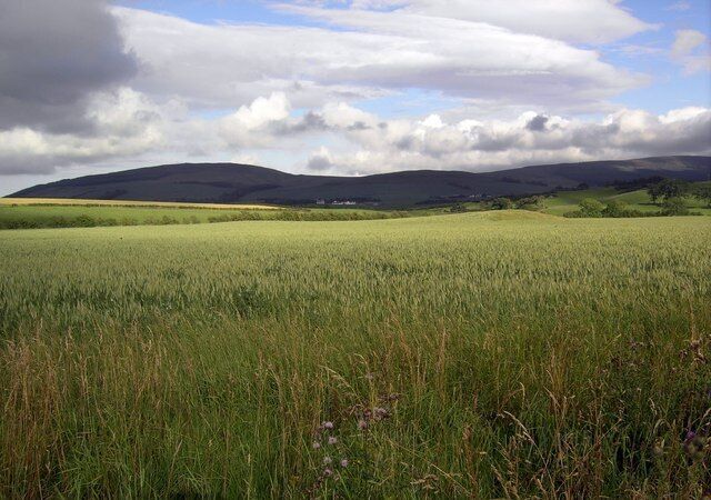 A field with distant hills under a partly cloudy sky.