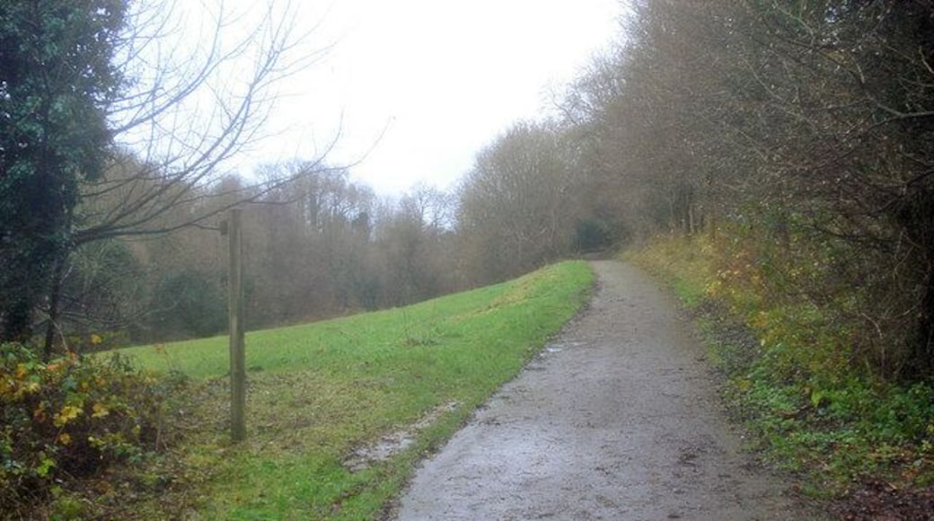 Main path through Portland Park Looking east along the path which heads to the visitor centre. Public footpath to Kirkby-in-Ashfield leading off to the left.
