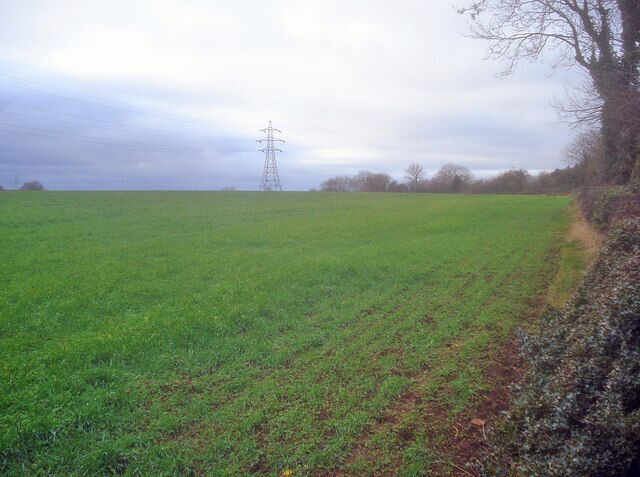Arable land near Portland Park Looking west along the park boundary.