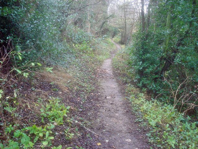 Lovers Walk at Portland Park Looking east along a pathway which is just inside the boundary of the park. Signposted 'Lovers Walk', but there was not much going on when I passed this way on a damp and cold November day.