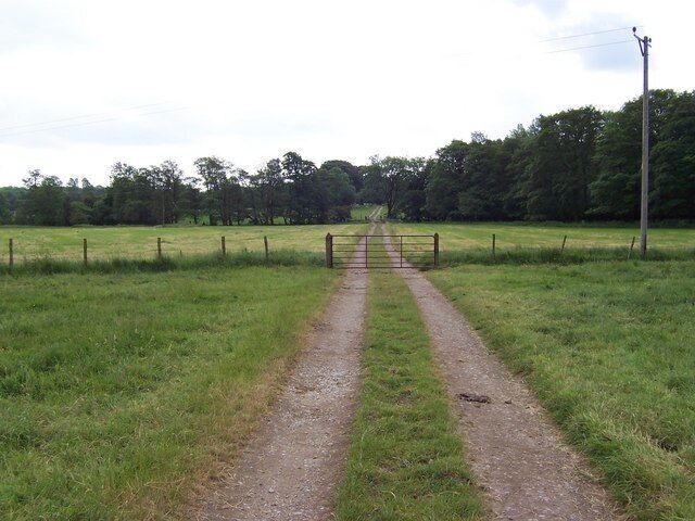 Track in Azerley Park. This track is just south of Lanwith, and is running parallel to Kex Beck en route to Braithwaite Hall