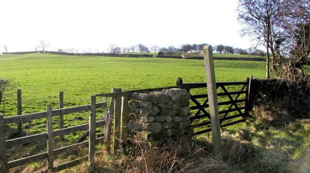 Public Footpath from the road to Stock Beck Moor There are many such paths in this delightful part of Yorkshire.