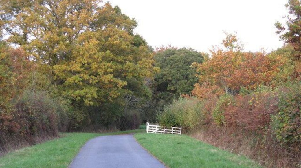 Unclassifed road to Kirdford