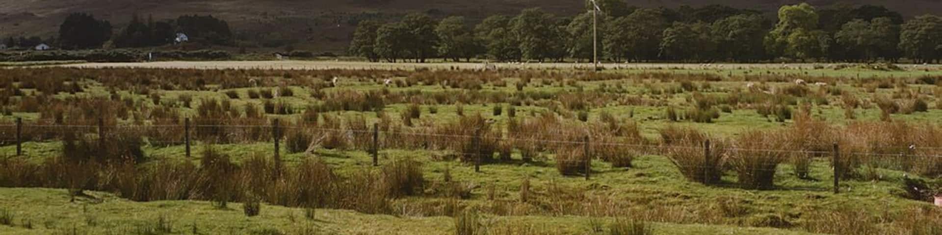 Field near Culaneilan farm, Incheril Taken from the old public car park near the farm. The drainage ditch in the foreground is one of several which help keep the land reasonably dry. Beyond the field a line of light coloured stones marks where the A' Ghairbhe river meets the Abhainn Bruachaig to form the Kinlochewe River. Beinn Eighe crowns the horizon.