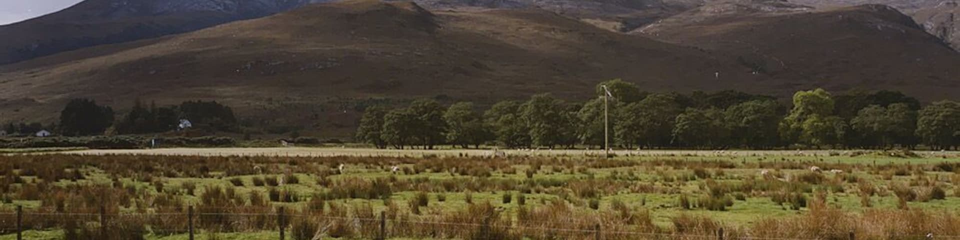 Field near Culaneilan farm, Incheril Taken from the old public car park near the farm. The drainage ditch in the foreground is one of several which help keep the land reasonably dry. Beyond the field a line of light coloured stones marks where the A' Ghairbhe river meets the Abhainn Bruachaig to form the Kinlochewe River. Beinn Eighe crowns the horizon.