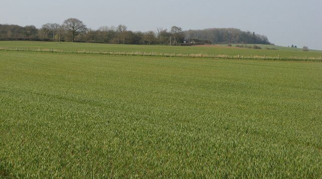 Street Arable land by Street Farm, looking towards Middle Barns.