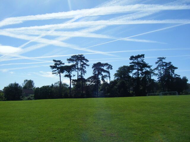 Trails, Trees, Turf The large and immaculate green over the road from The Kingsdon Arms.