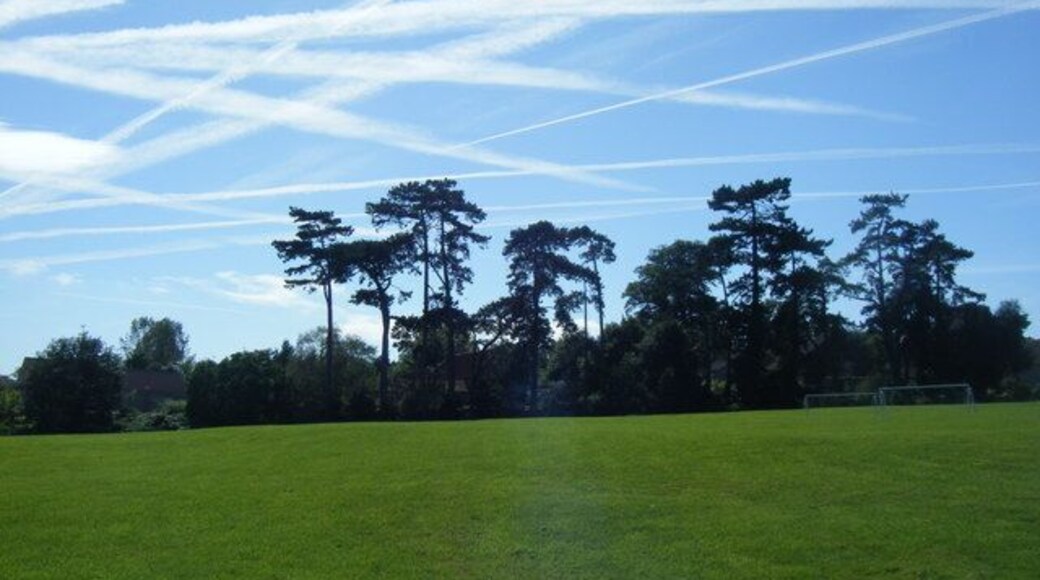 Trails, Trees, Turf The large and immaculate green over the road from The Kingsdon Arms.