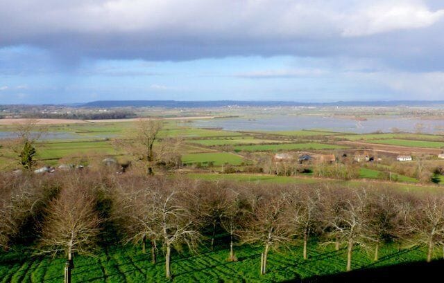Cider Orchards on Burrow Hill View north from the summit of Burrow Hill. The houses on the right are at Lower Burrow and the dark woods in the middle distance on the left are at Middleney, one of the islands on the Somerset levels. The flood waters are on West Moor.