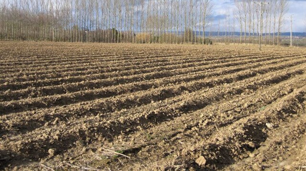 Farmland, New Cross, Somerset. view N down New Cross Hill.
