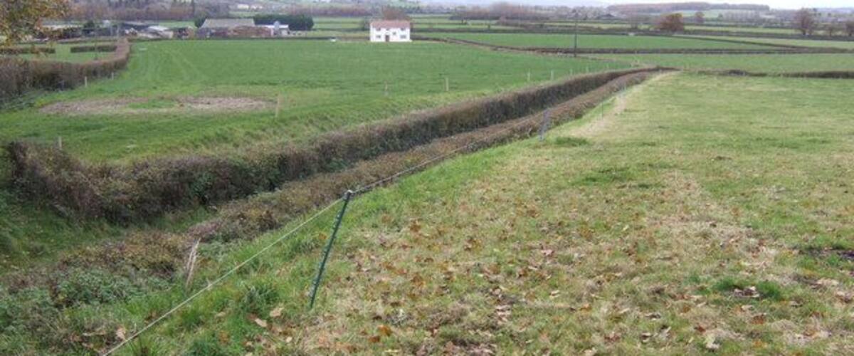 A rural landscape with fields, a white building, and a narrow path.