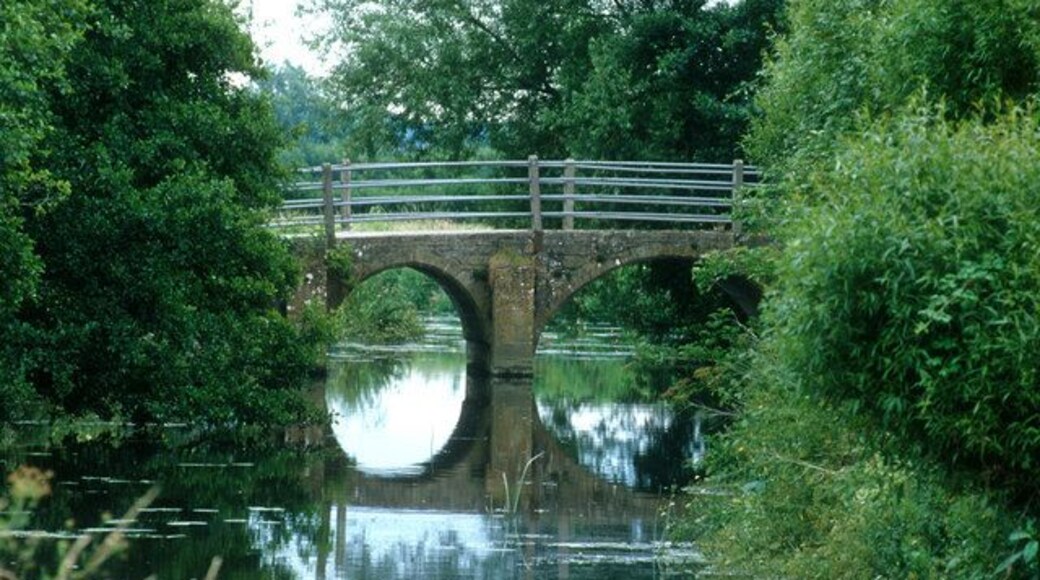 Coombe Bridge, Kingsbury Episcopi