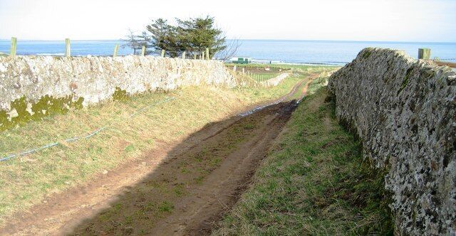 Double Dyke Road Looking down the double dyke road leading from Boghall Farm to Airblow Point