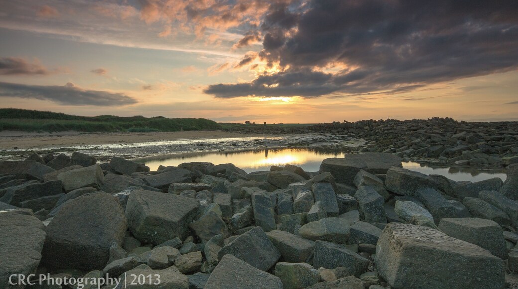 A shot from the summer revisited in Lightroom. Seems like a long time ago now.