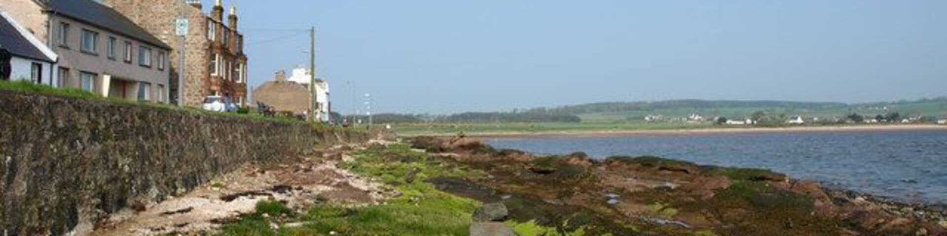 Kilchattan, Island of Bute Rocky shore mostly red sandstone which seems to attract the green algae.