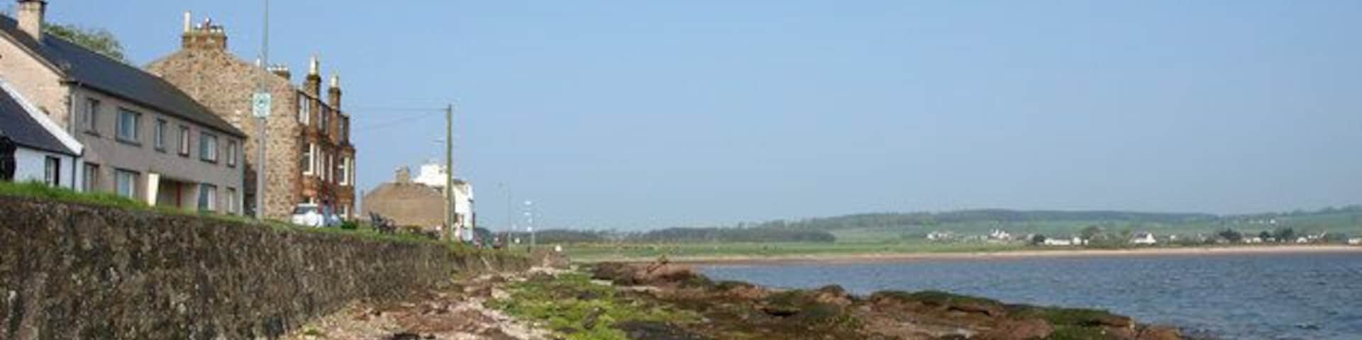 Kilchattan, Island of Bute Rocky shore mostly red sandstone which seems to attract the green algae.