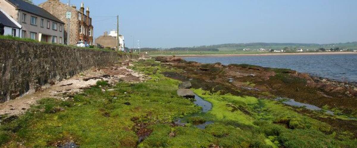 A coastal area with buildings, a rocky shoreline, and a clear sky.