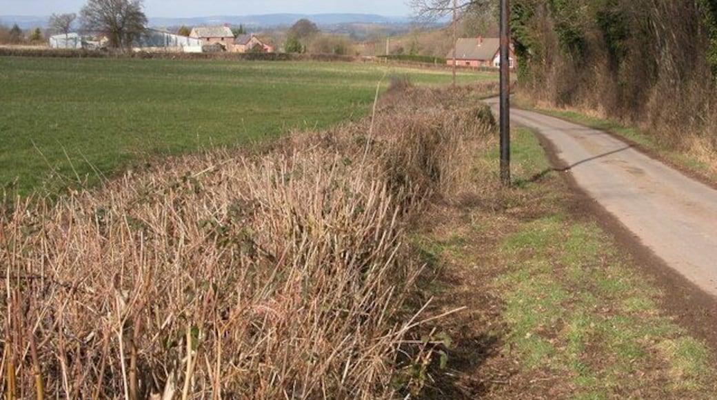 Allens Hill Farm, near Kilpeck.