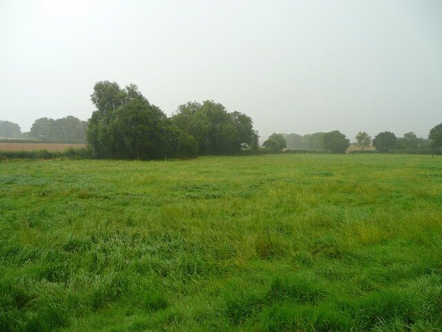 Grassland at Knolton Farm Looking along the line of a very wet footpath.