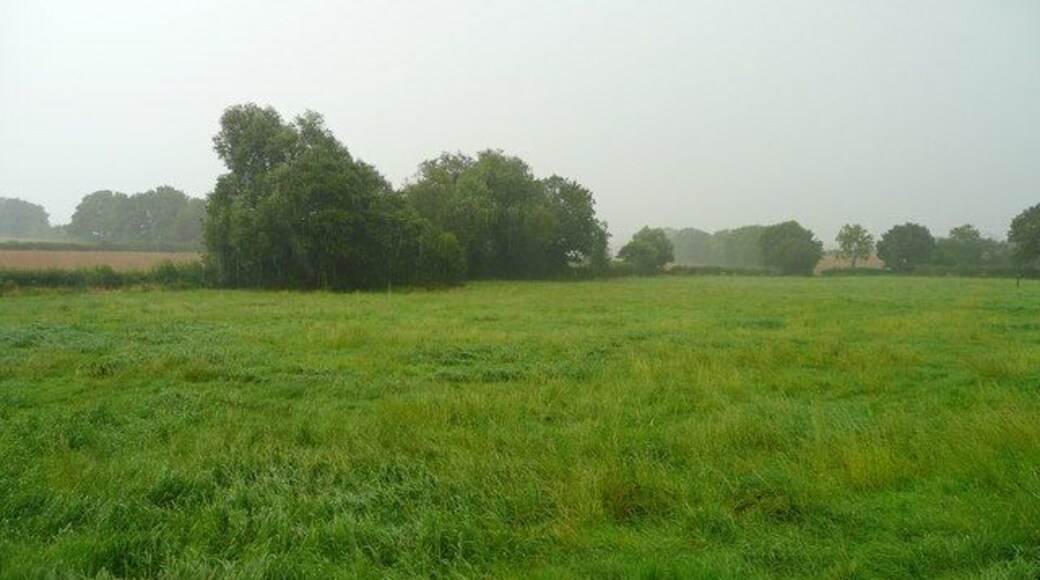 Grassland at Knolton Farm Looking along the line of a very wet footpath.