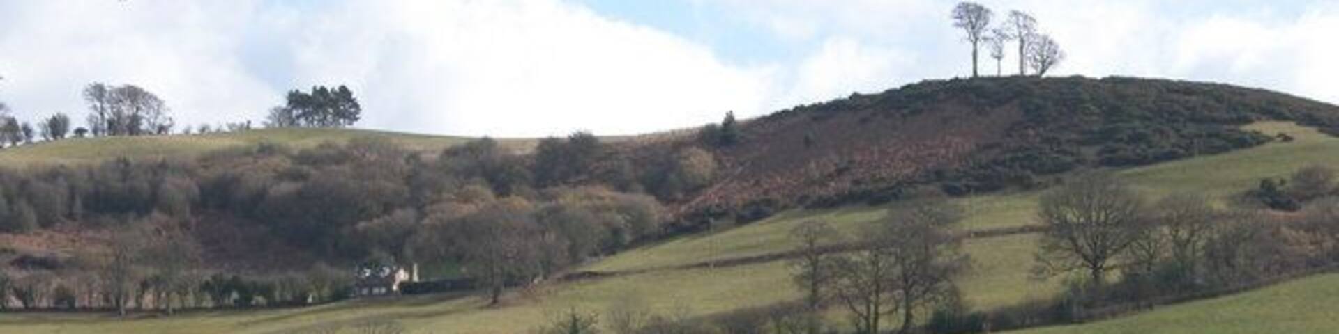 Orcop Hill. Cole's Tump with its four trees is on the right