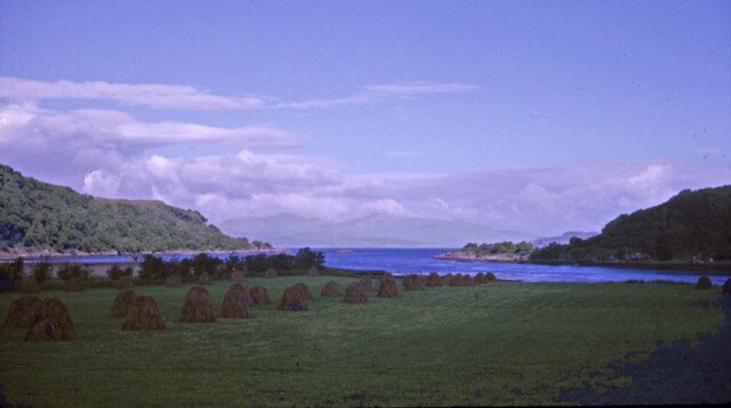 Loch Feochan, Argyll & Bute taken 1963 Looking over farmland towards the Isle of Mull, which may possibly be seen in the distance. Note the interesting hay stacks. The land at right is Ardentallen Point. The rock in the middle of the channel might be Sgeir Dhubh.
