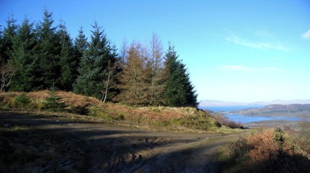Track up past Bacoch's Seat Views over to Tayvallich