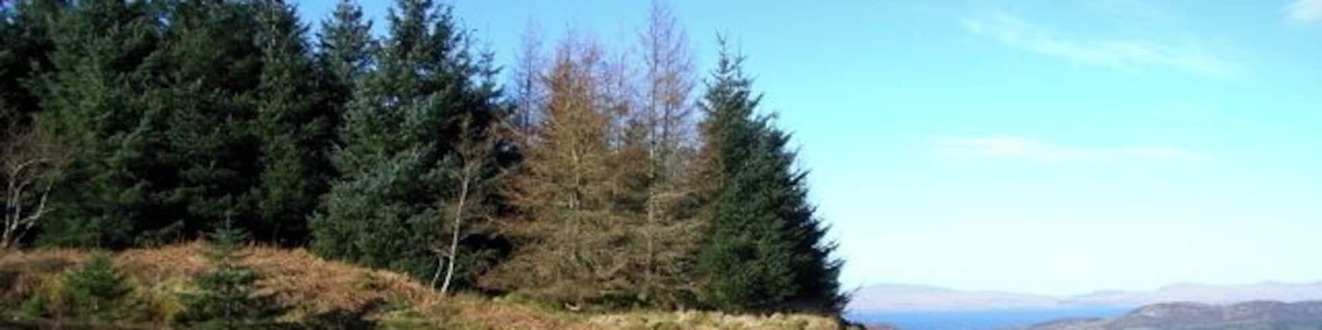 Track up past Bacoch's Seat Views over to Tayvallich