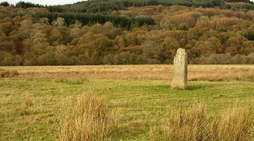 Standing Stone at Kilmichael Glassary, Argyll.