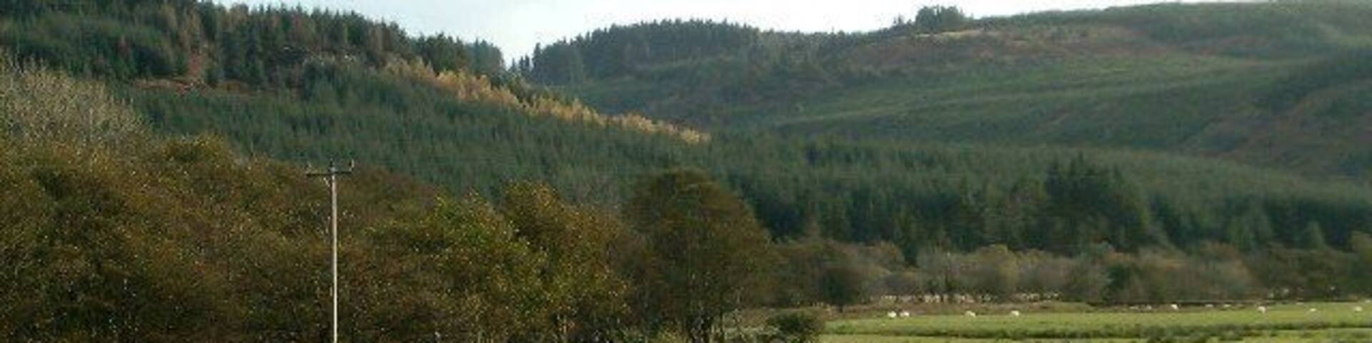 River Meadow at Kilmichael Glassary, Argyll.