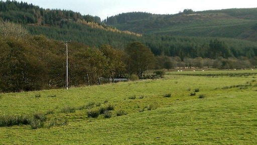 River Meadow at Kilmichael Glassary, Argyll.