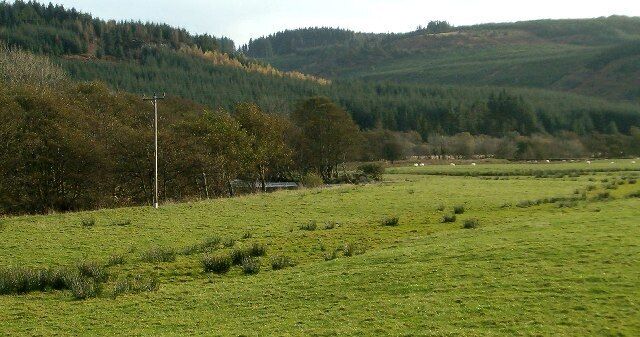 A green field with a power line, trees, and hills in the background.