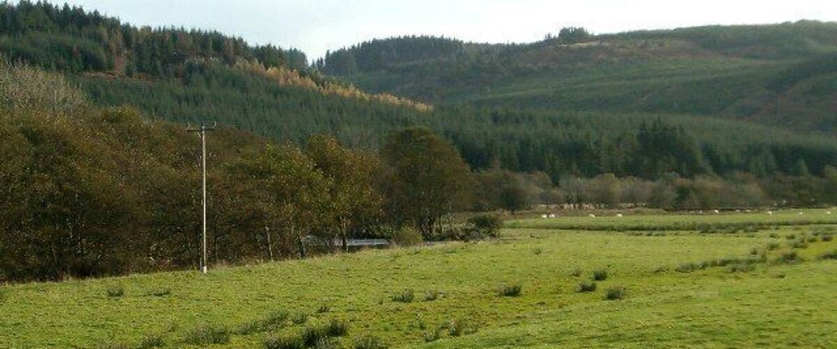 A green field with a power line, trees, and hills in the background.