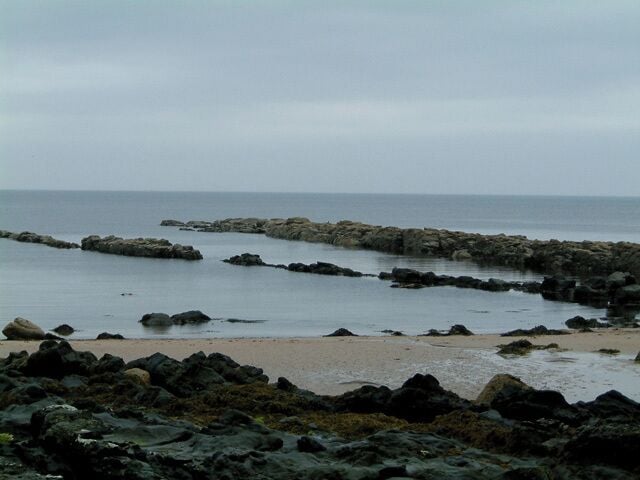 Kildonan beach, Arran Igneous rock formations, stretching out into the water. This is a popular basking spot for seals.